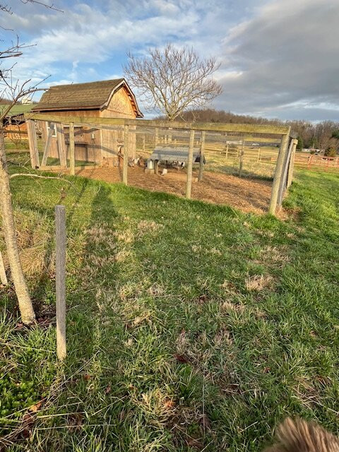 Fox Hill Bed & Breakfast Suites主图