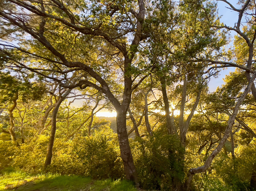 查米纳德度假及酒温泉酒店主图