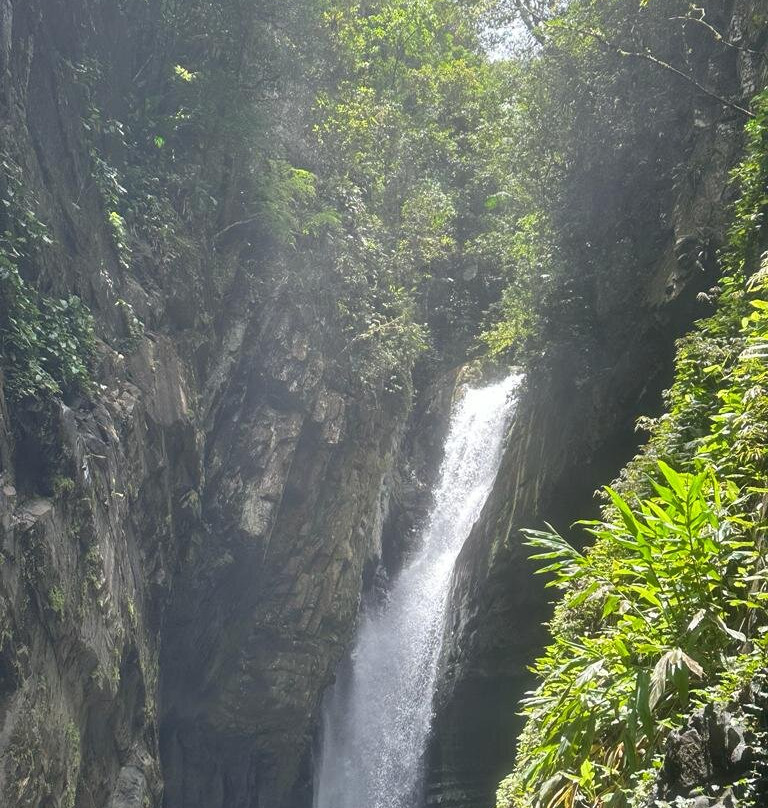 Parque Estadual Turistico do Alto Ribeira-Apiai必去景点