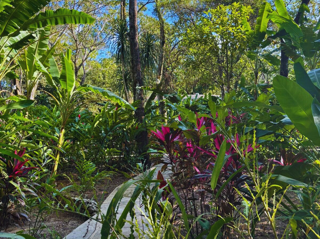 Hotel La Aldea del Halach Huinic主图