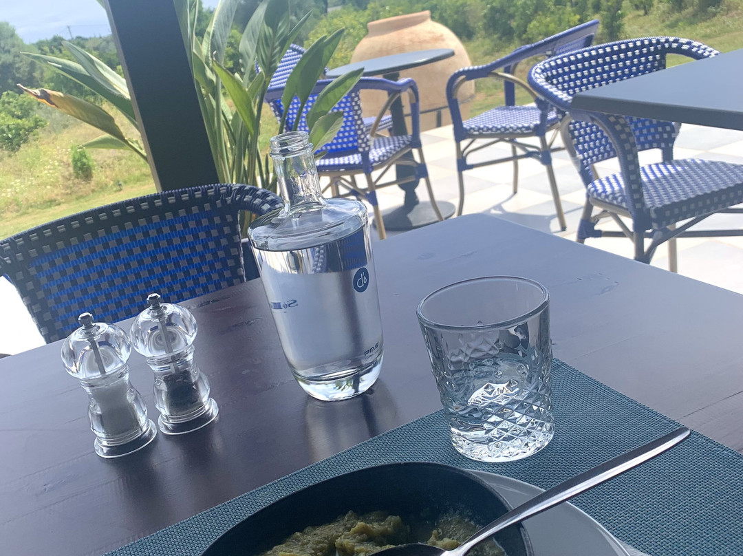 Solar Alvura Health Hotel主图