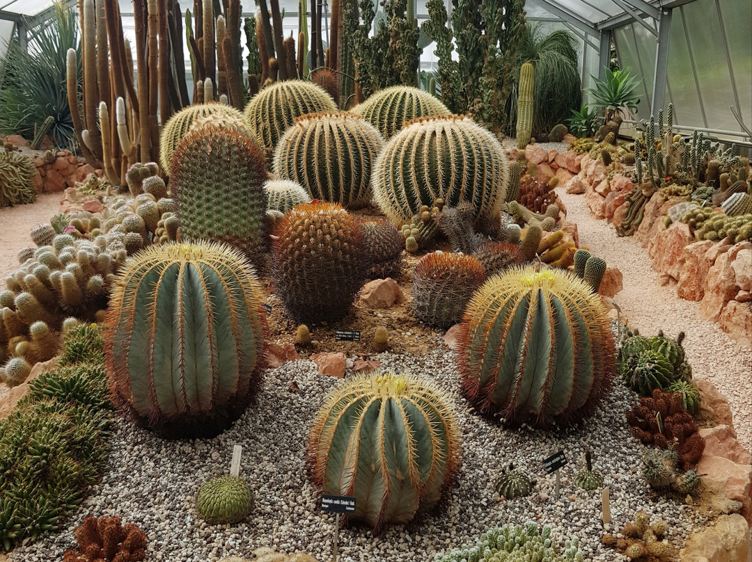 Jurassica Jardin Botanique景点图片