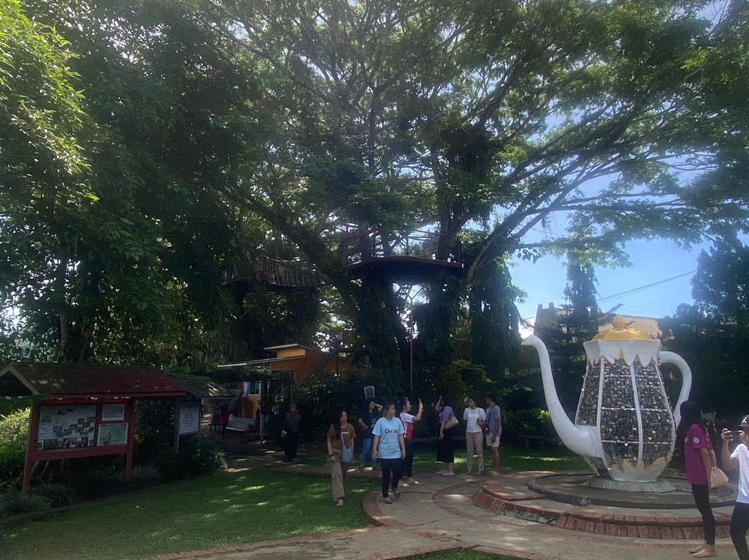 Sabah Tea Garden Day Tours-拉瑙必去景点