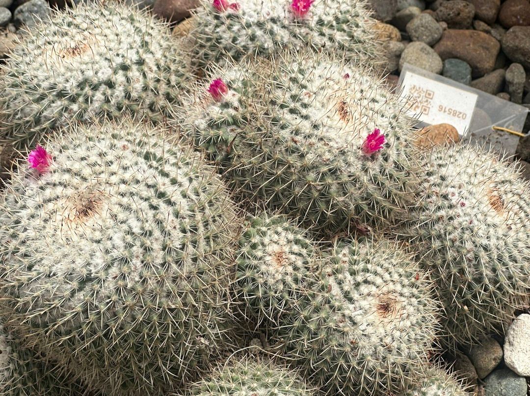 Jardín Botánico de Quito-基多必去景点