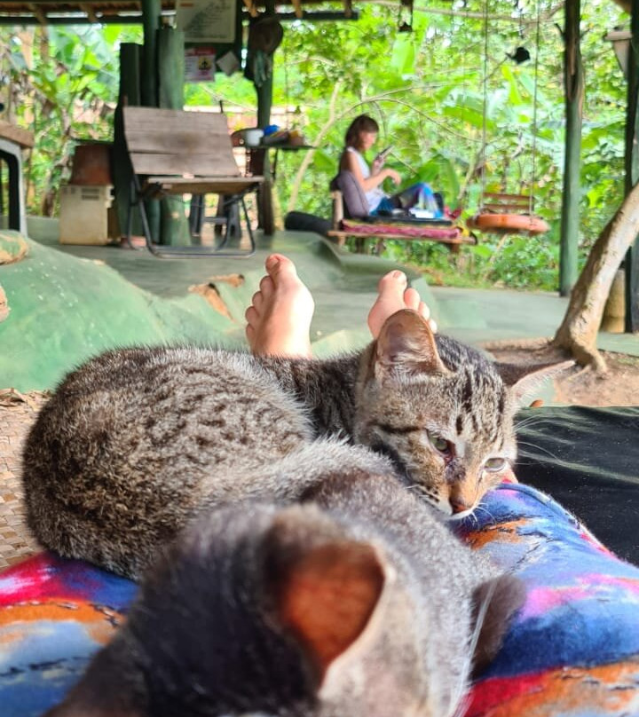 Ashram Sri Lanka-唐卡拉必去景点