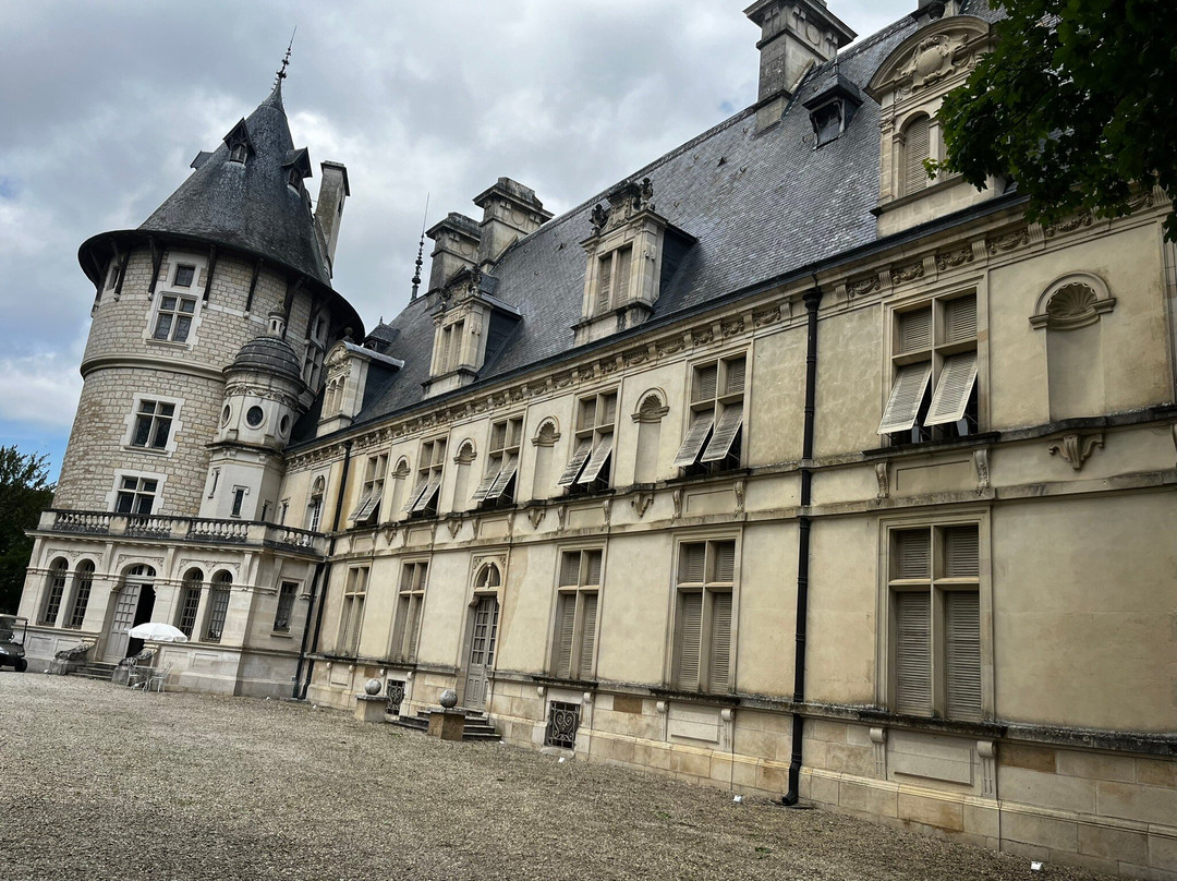 Château de Montigny-Sur-Aube景点图片