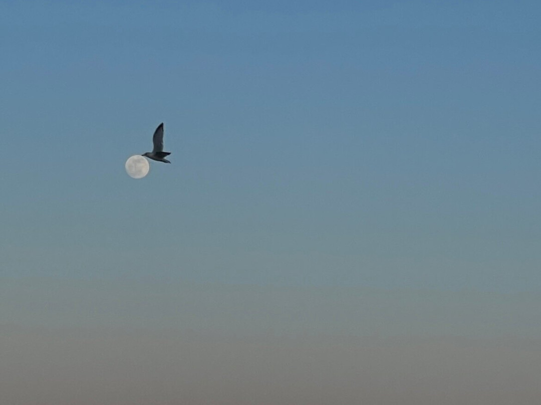 桑兹海滨汽车旅馆主图