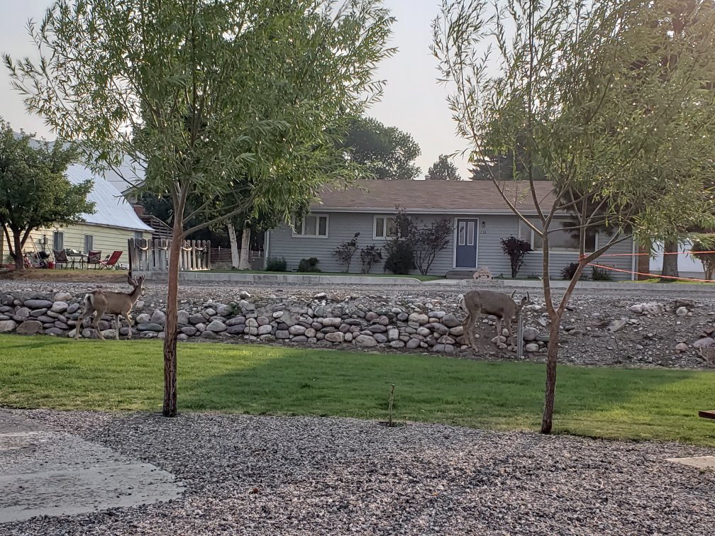 Pioneer Motel & RV Park主图