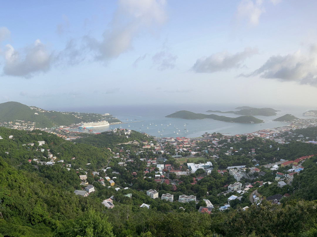 Brenda And Franko's Fun Tours-夏洛特阿马利亚必去景点