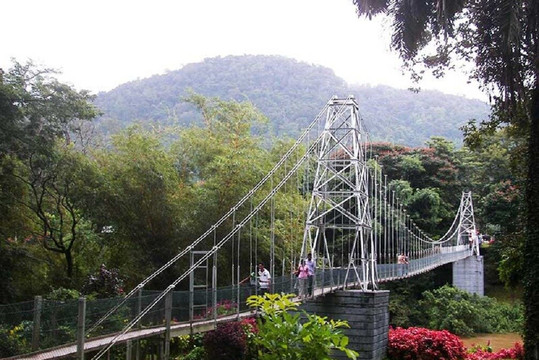 Sri Lanka Tours Private Tour Driver | Idyllic Drive