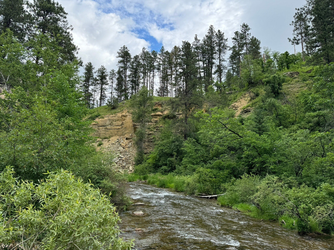 Long Valley Picnic Area-Lead必去景点