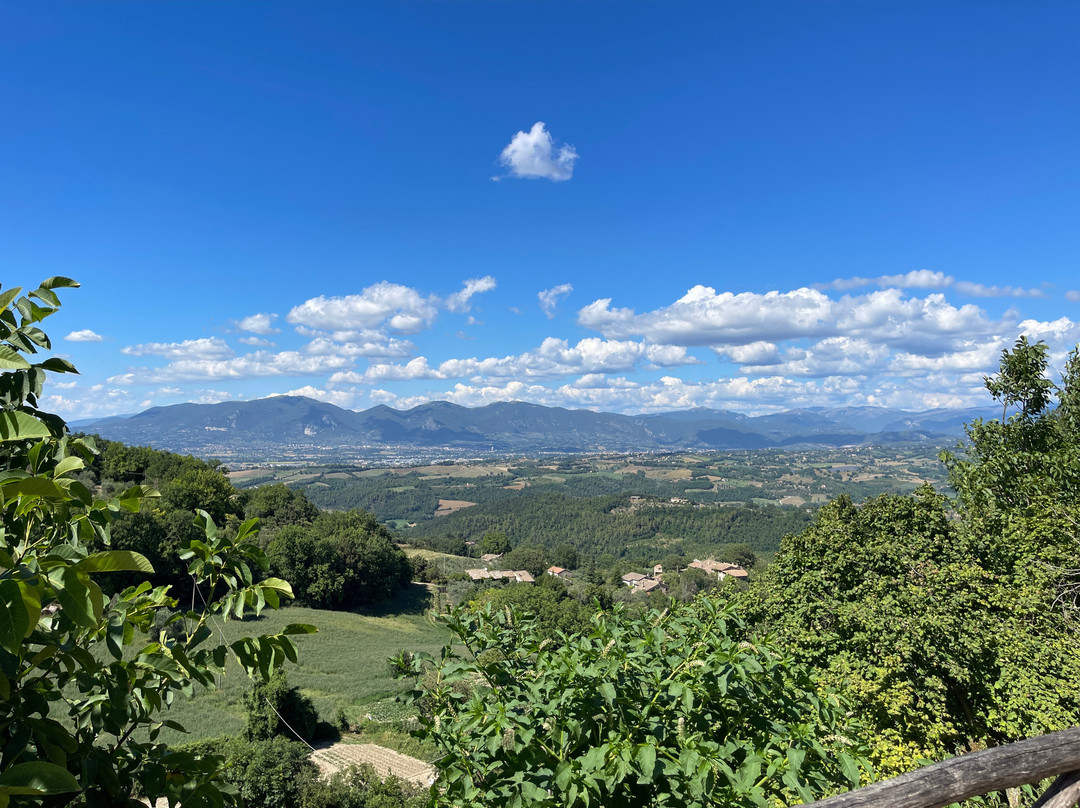 I Montanari主图
