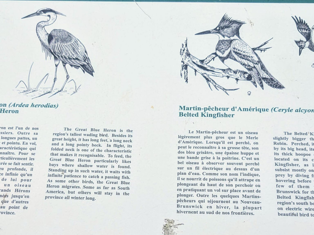 Ecological Park of the Acadian Peninsula-Petite Lameque必去景点