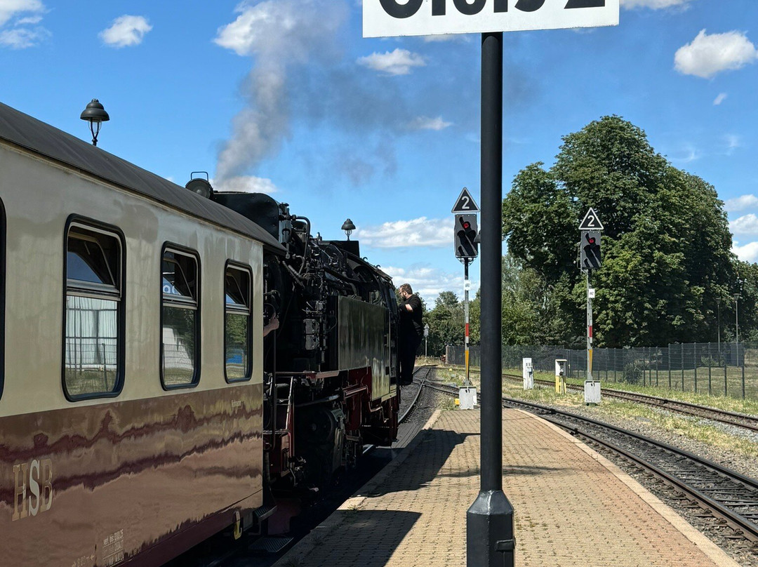 BSW - Kulturgruppe Harzquer- und Brockenbahn, Wernigerode-韦尼格罗德必去景点