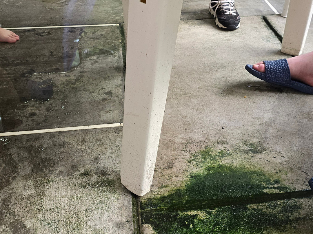 Comfort Inn & Suites Dalton主图