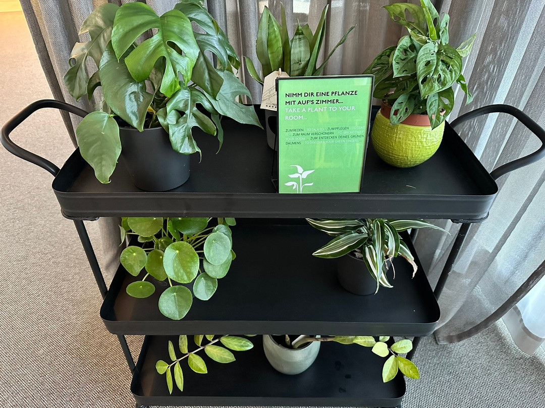 Vienna House Easy by Wyndham Bad Oeynhausen主图