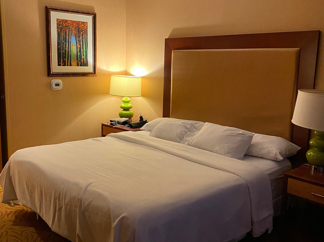 拉维斯塔希尔顿合博套房酒店及会议中心主图