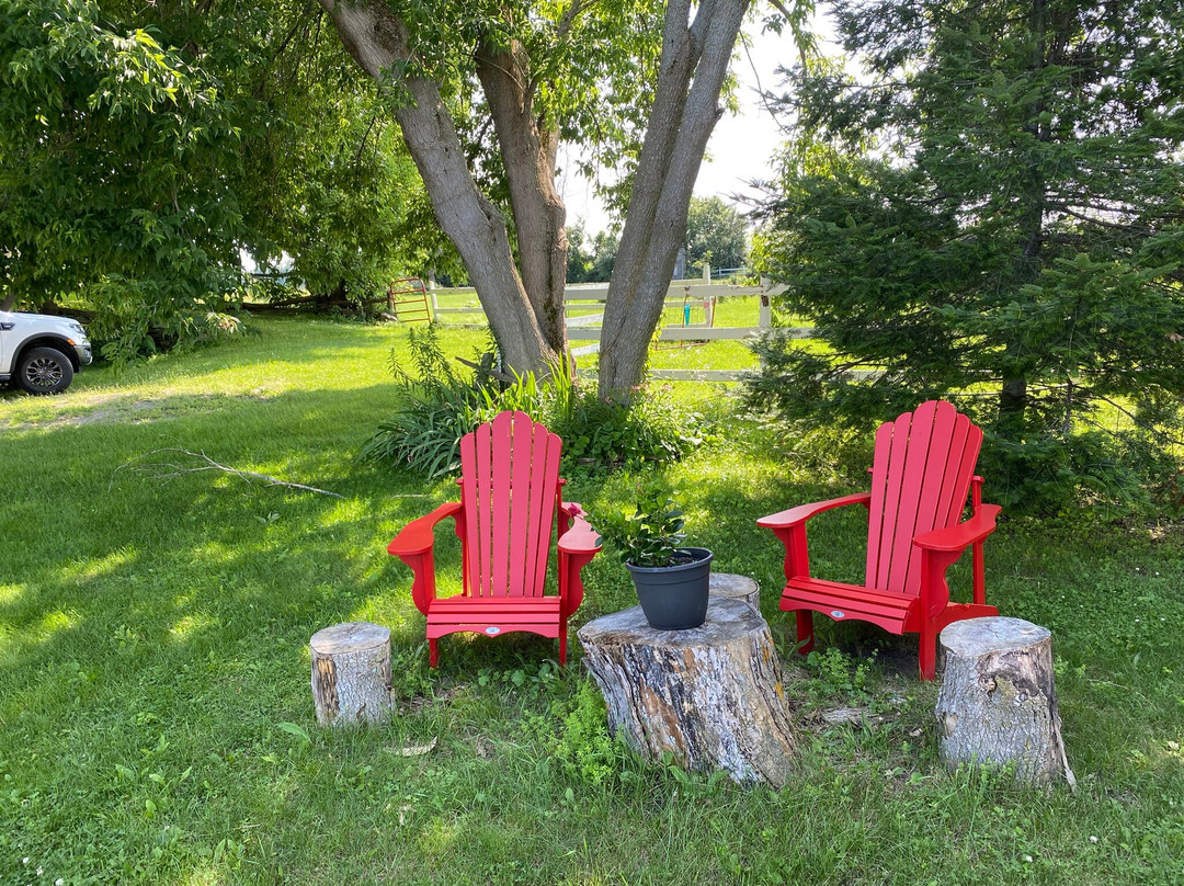 Enduring Heart Bed and Breakfast Inc.主图