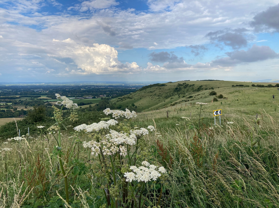 Ditchling Beacon景点图片