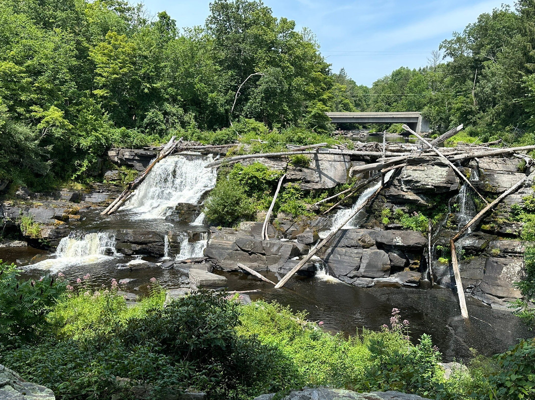 Resica Falls Scout Reservation景点图片