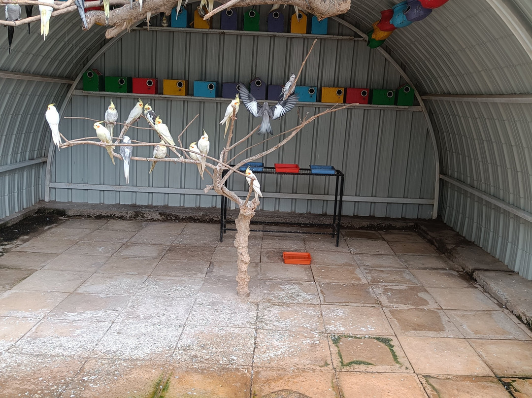 Peeku Park Yercaud-亚尔考德必去景点