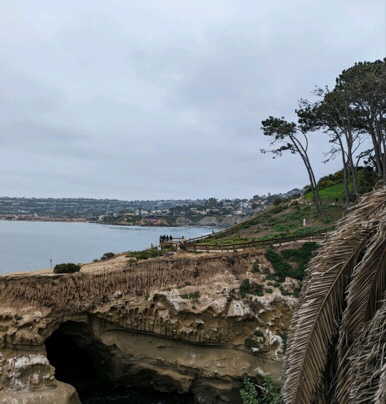 Murals of La Jolla-拉荷亚必去景点