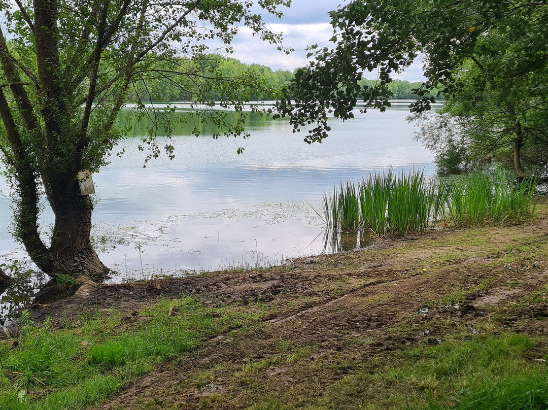Lac De Podensac-Podensac必去景点