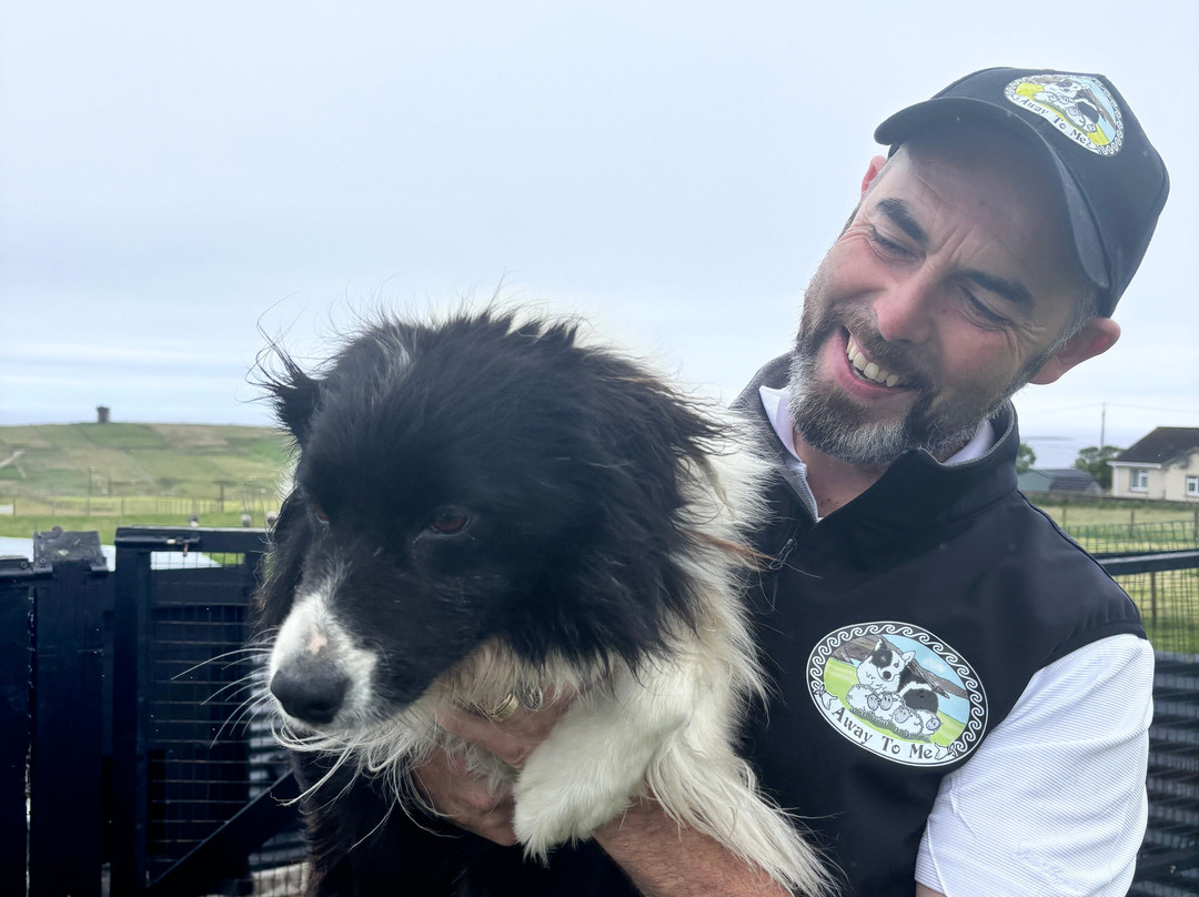 Away to Me Sheepdog Trial Demonstrations-Malin Beg必去景点