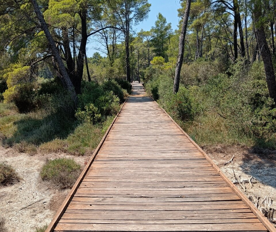 Kulla 360°-Divjake必去景点