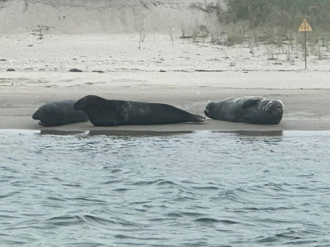 Beachcomber Tours-查塔姆必去景点