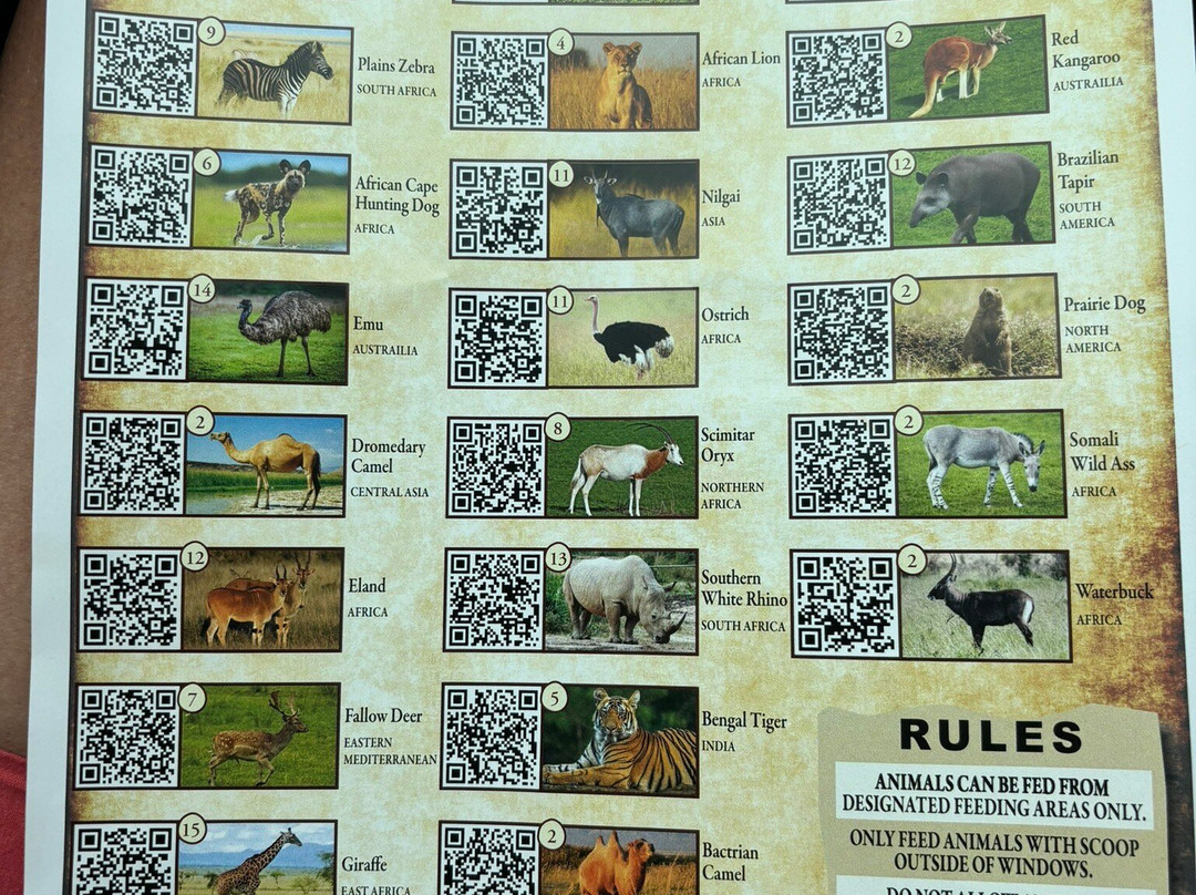 Shamba Safari-Neshkoro必去景点