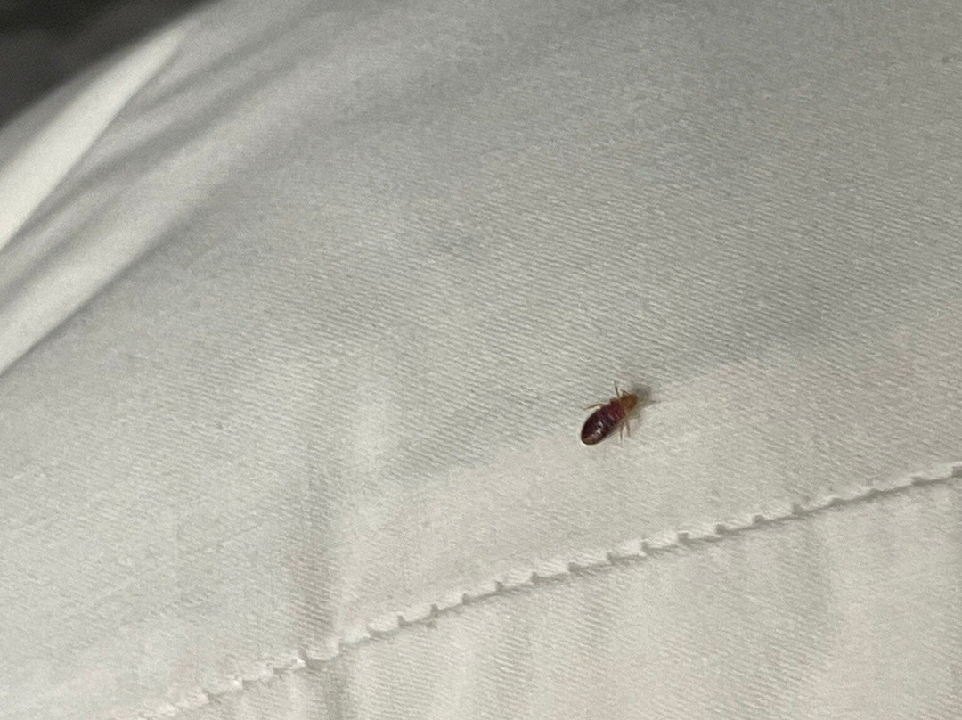 Days Inn by Wyndham Fultondale主图