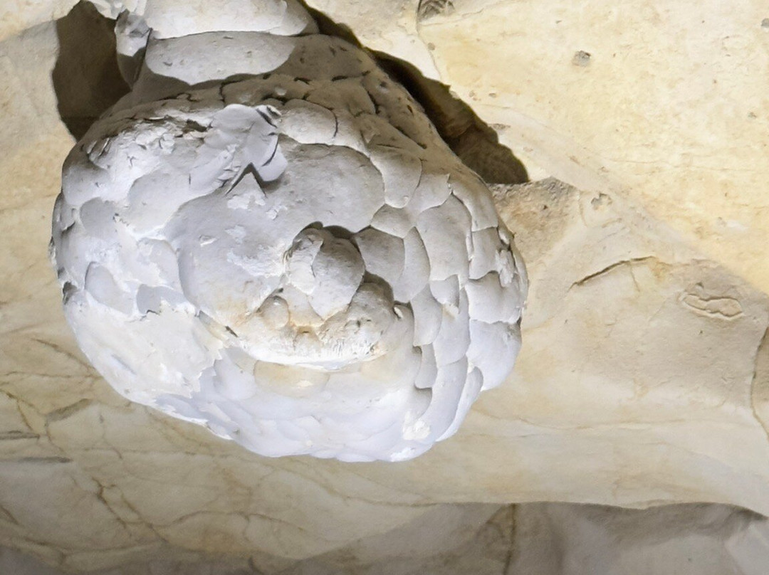 Grottes de Thouzon景点图片