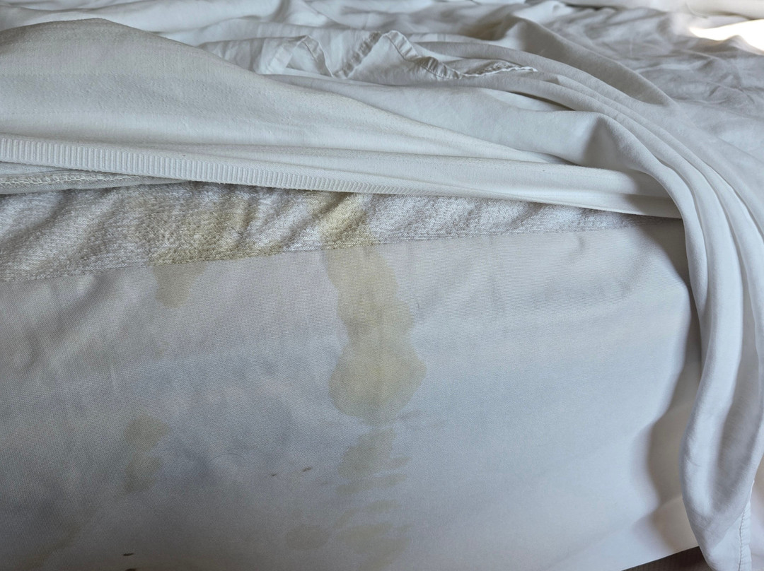 Microtel Inn & Suites by Wyndham Mankato主图