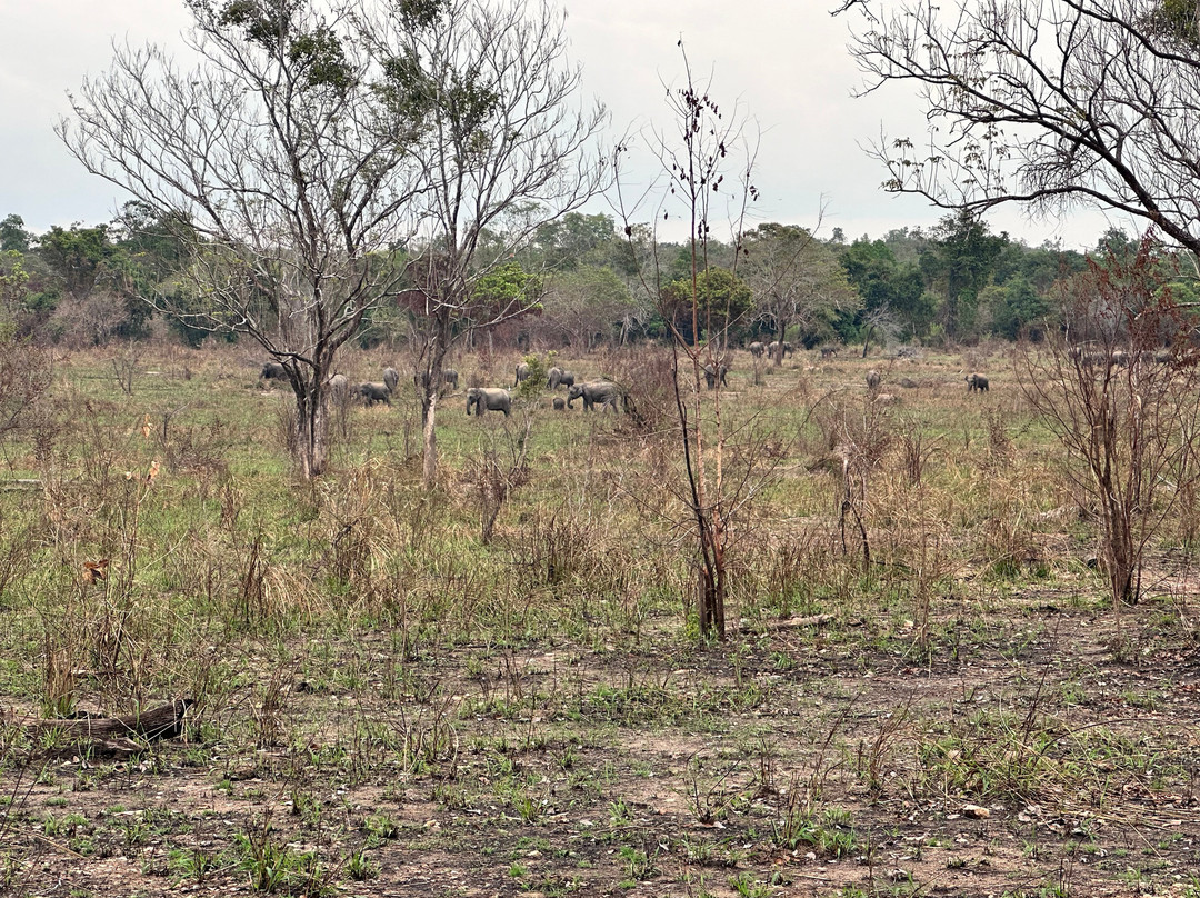 Maduru Oya National Park景点图片