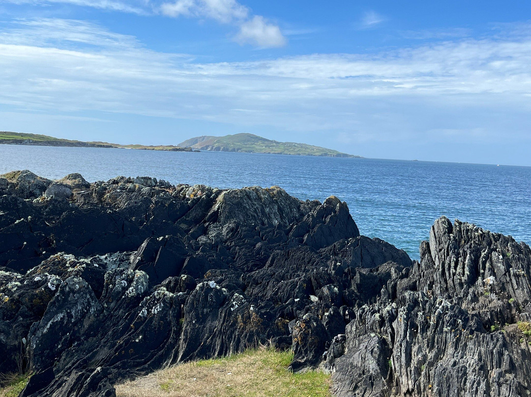 Channel View B&B主图