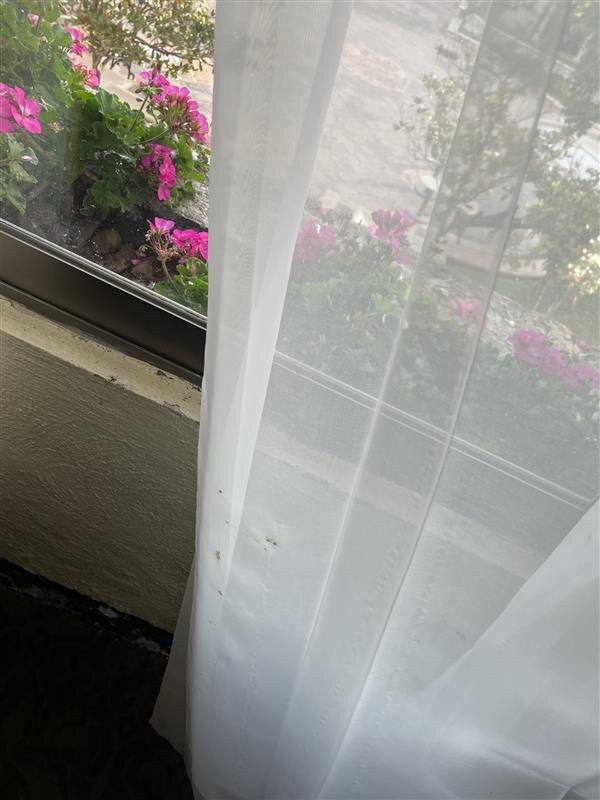 Quinta Real Aguascalientes主图