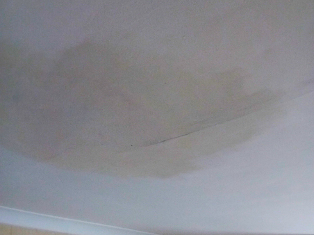 The Willow House主图