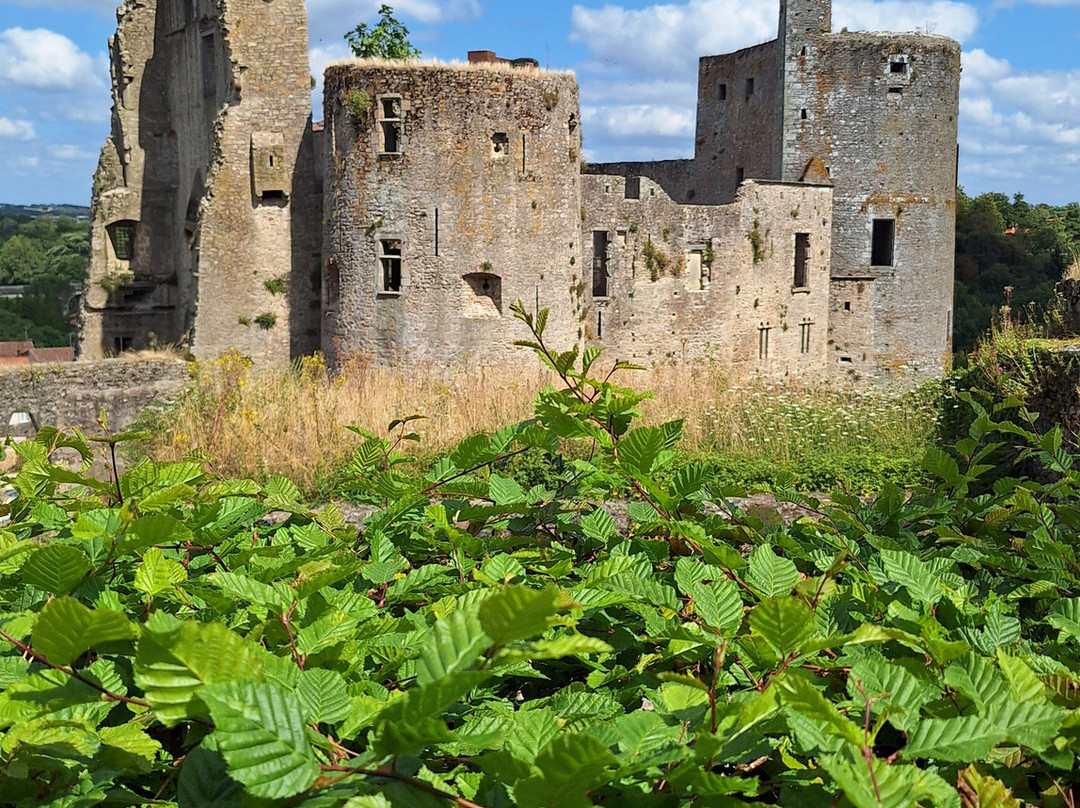 Chateau de Clisson景点图片