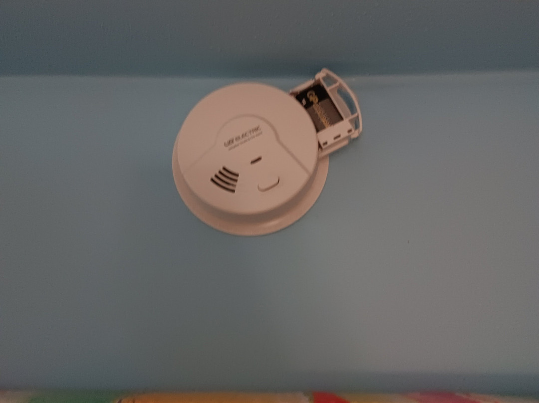 Solace by the Sea主图