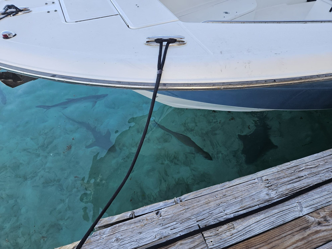 Carib Sands Beach Resort主图