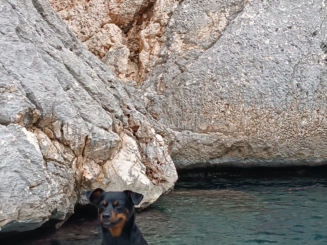 Sardinia Natural Park tours景点图片