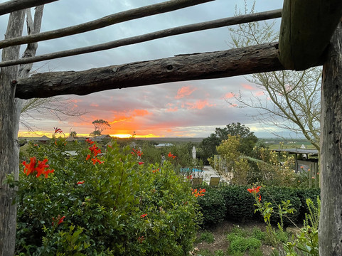 BokBus Garden Route Adventure Tours - Day Tours-木湾必去景点