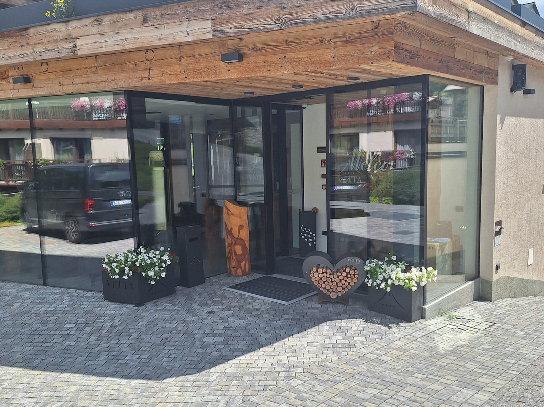 Hotel Vetta Alpine Relax主图