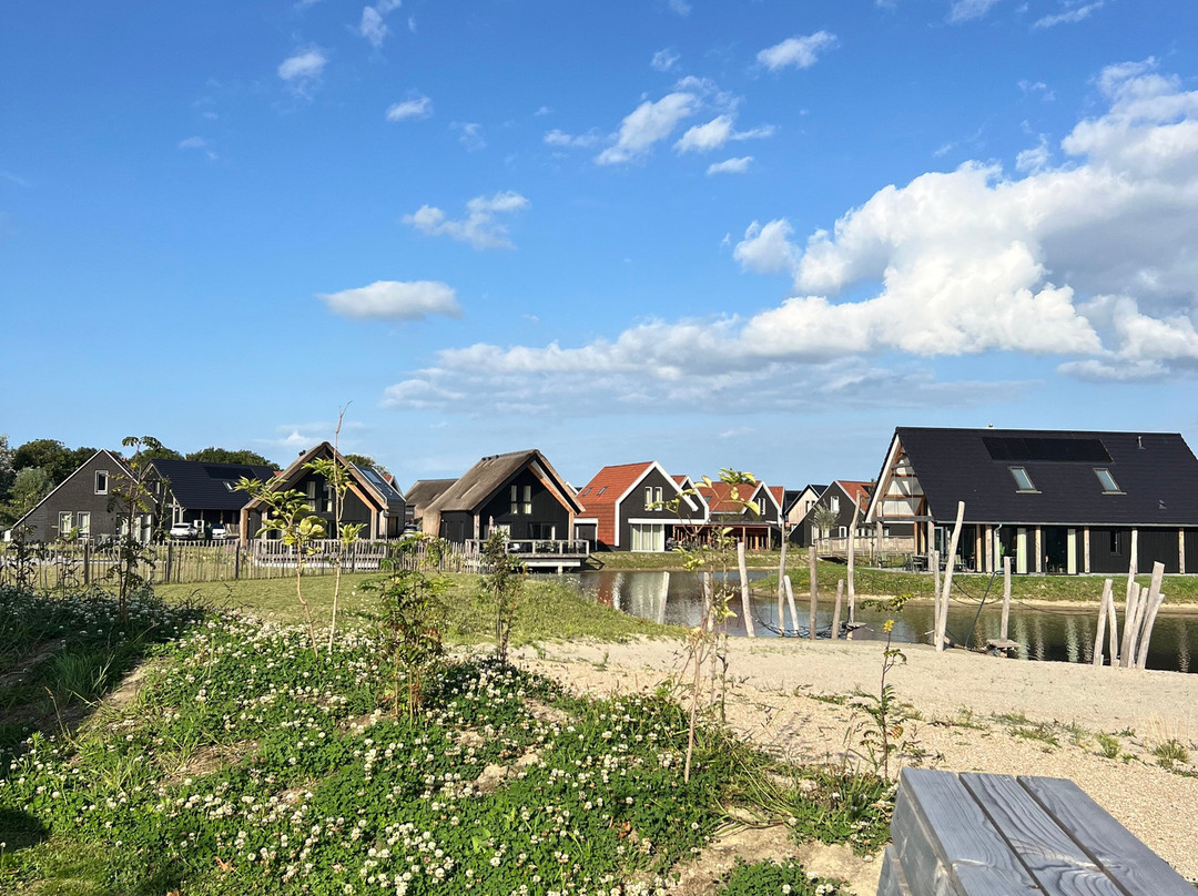 Nieuwvliet旅游攻略图片