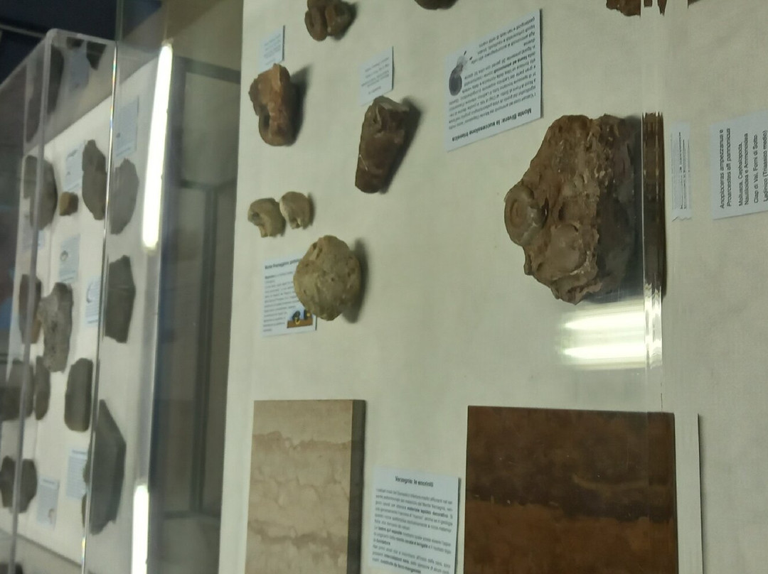 Museo Geologico della Carnia景点图片