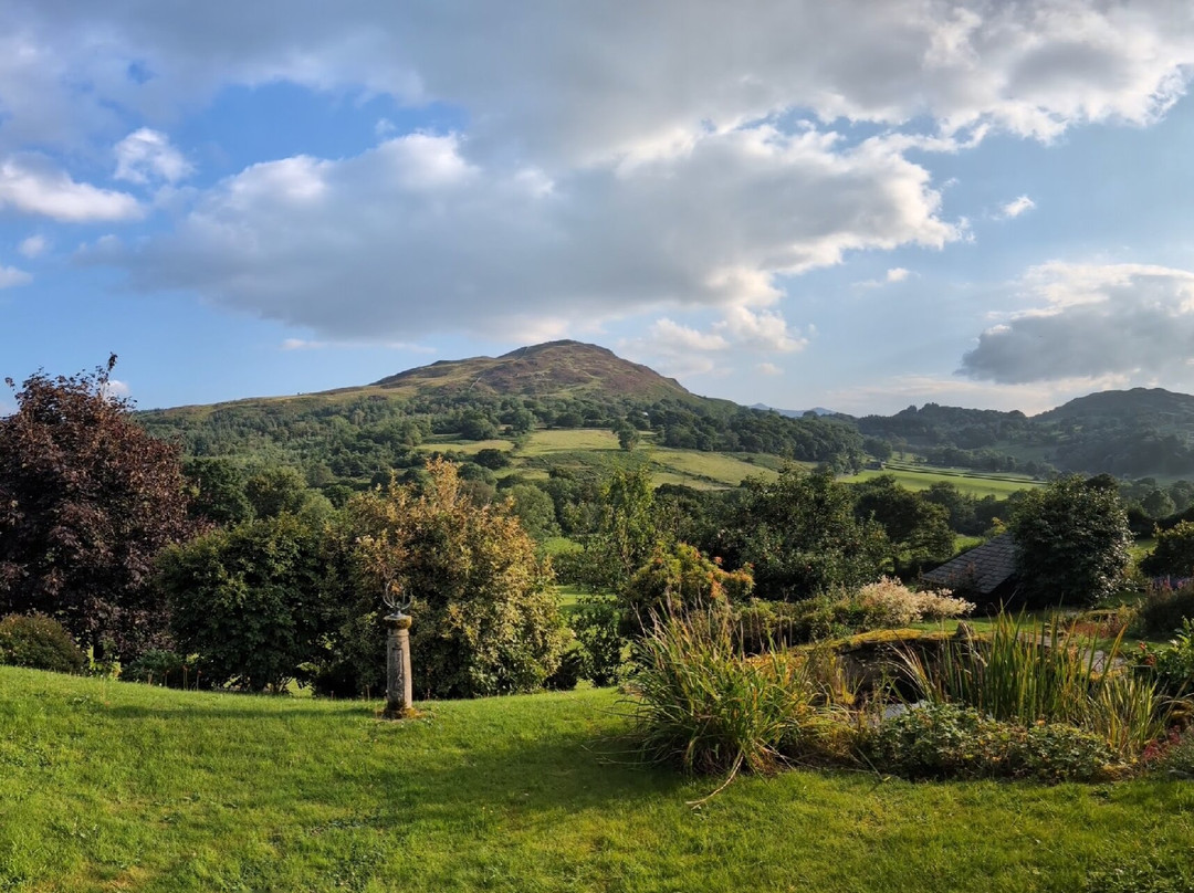 Heulwen Guest House主图