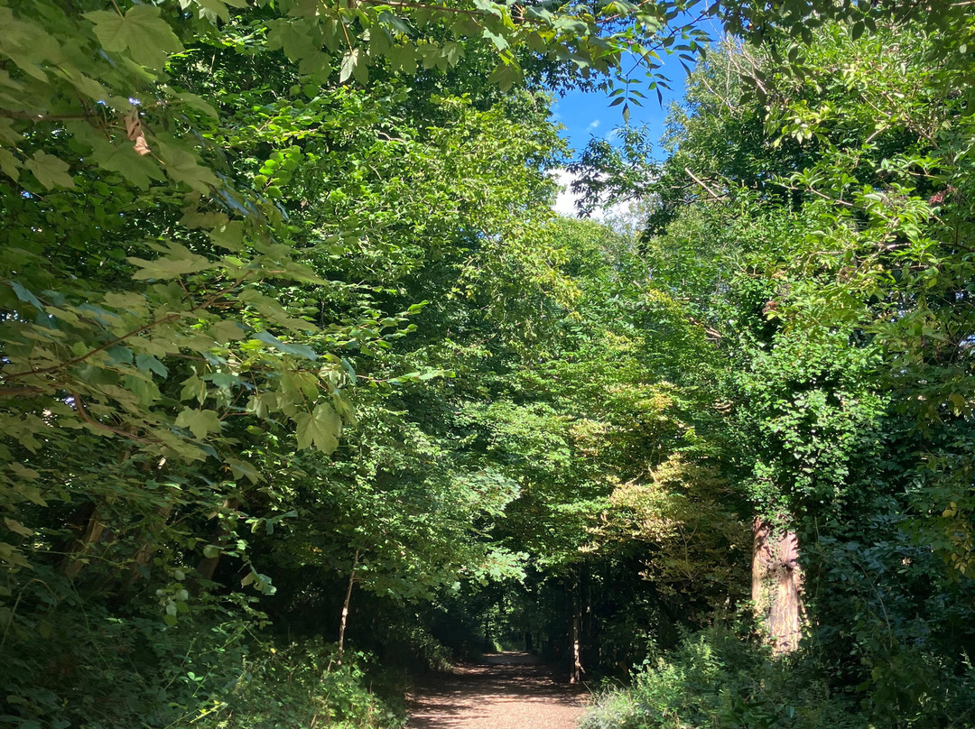 Trosley Country Park-Meopham必去景点