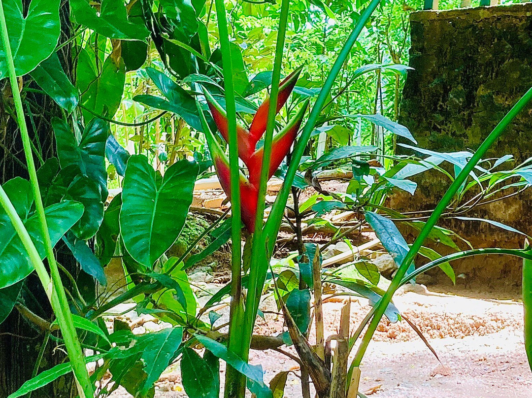 Susantha Spice and Herbal Garden-Hingula必去景点