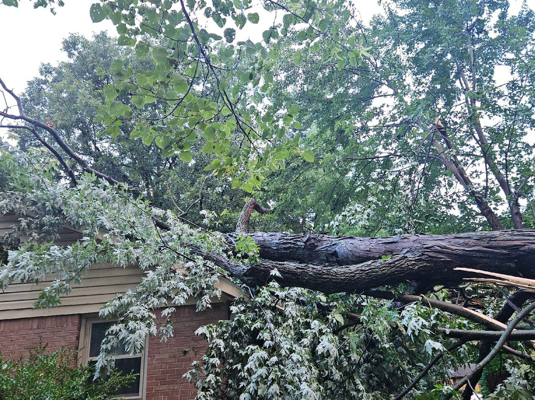 Fairfield by Marriott Inn & Suites Indianapolis Northwest主图